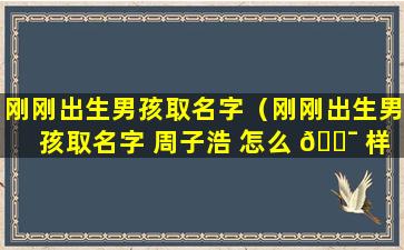 刚刚出生男孩取名字（刚刚出生男孩取名字 周子浩 怎么 🐯 样）